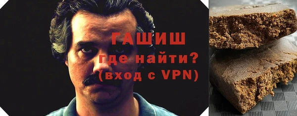 apvp Гусев
