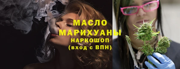 apvp Гусев