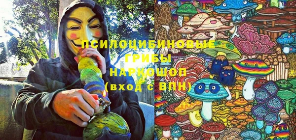 apvp Гусев