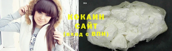 apvp Гусев