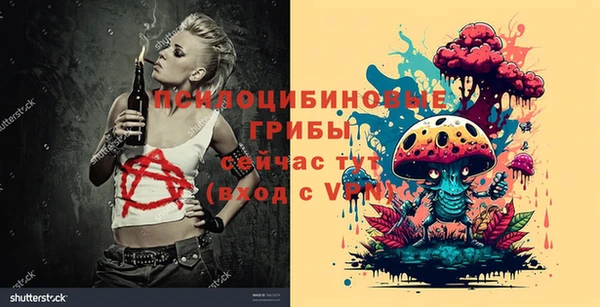 синтетический гашиш Гусиноозёрск