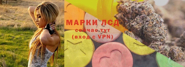 apvp Гусев